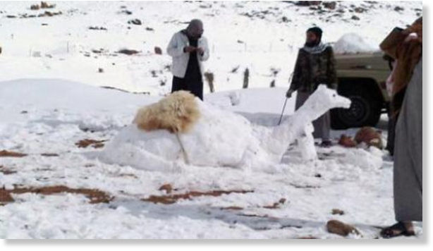 Heavy snowfall across Saudi Arabia -- Earth Changes -- Sott.net