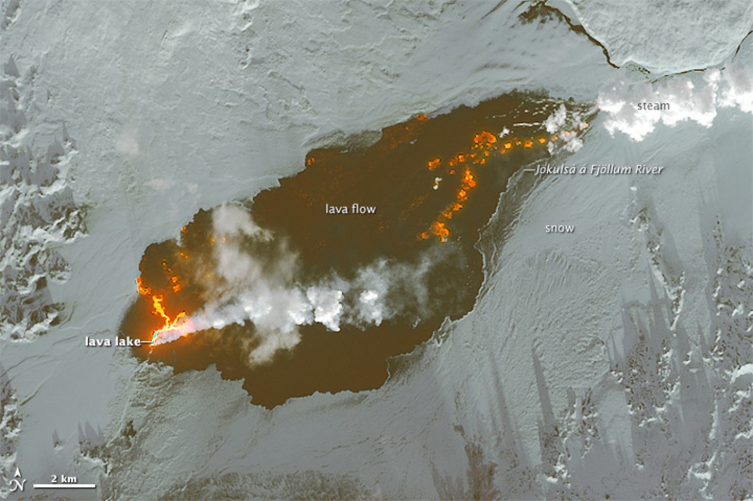iceland_lava_field2