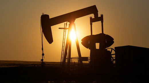 Oil