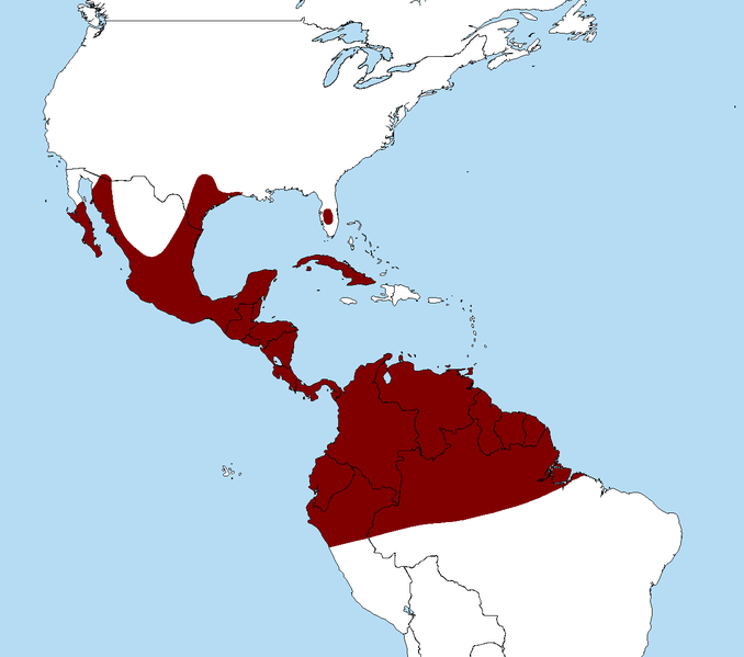 Click to enlarge Image