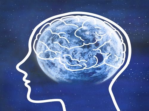 brain