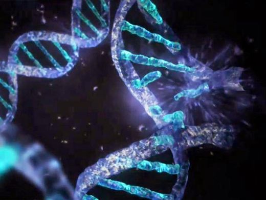 Click to enlarge DNA