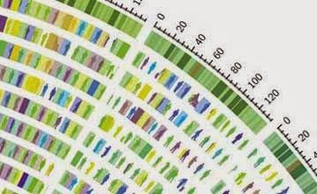Click to enlarge PCR test