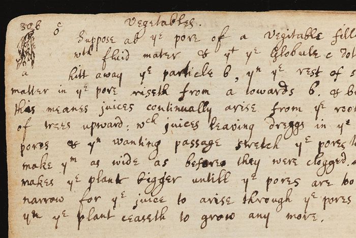 Newton's Text
