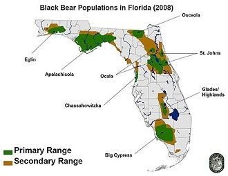 Click to enlarge florida bear distribution