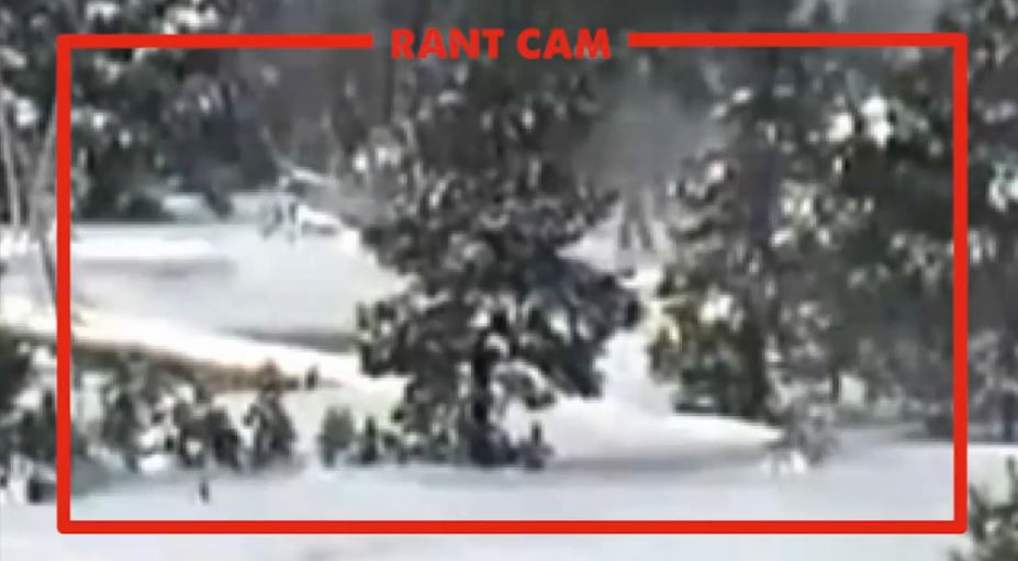 Click to enlarge Bigfoot buffalo yellowstone