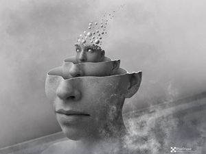 illusion single self