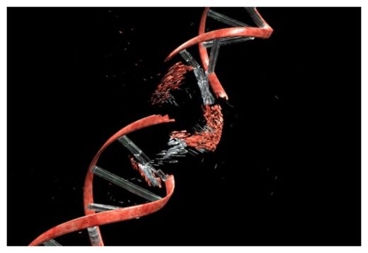 DNA