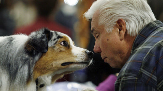Click to enlarge dogs facial expressions