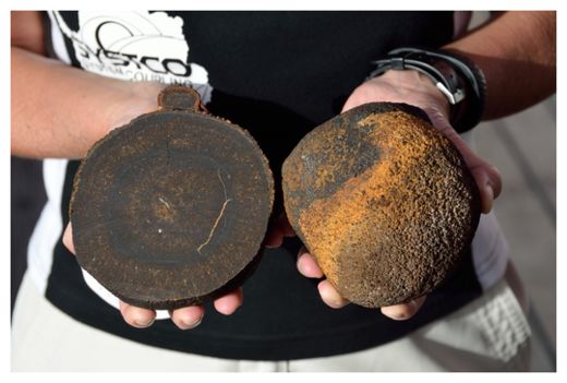 Manganese nodules_1