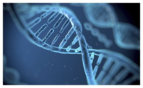 DNA