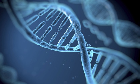 Click to enlarge DNA