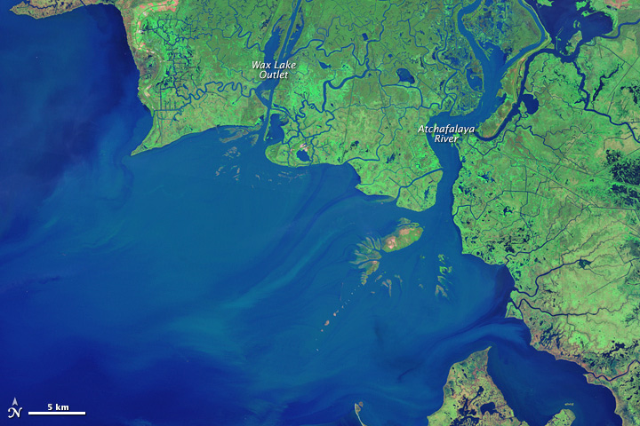 Click to enlarge Louisiana river delta growing