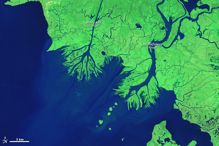 Click to enlarge Louisiana river delta growing