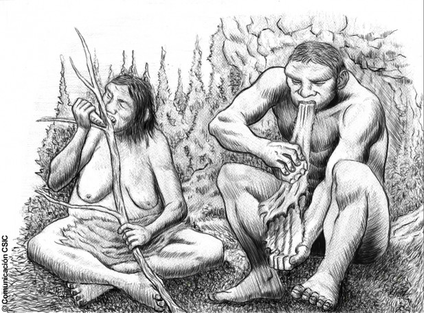 Click to enlarge Neanderthal division of labor
