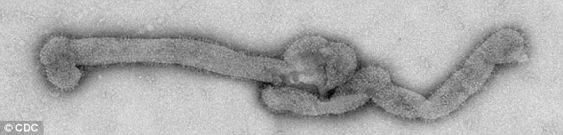 Click to enlarge 'Bourbon' virus