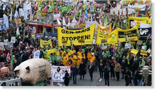 Click to enlarge Protest_Berlin_GMO