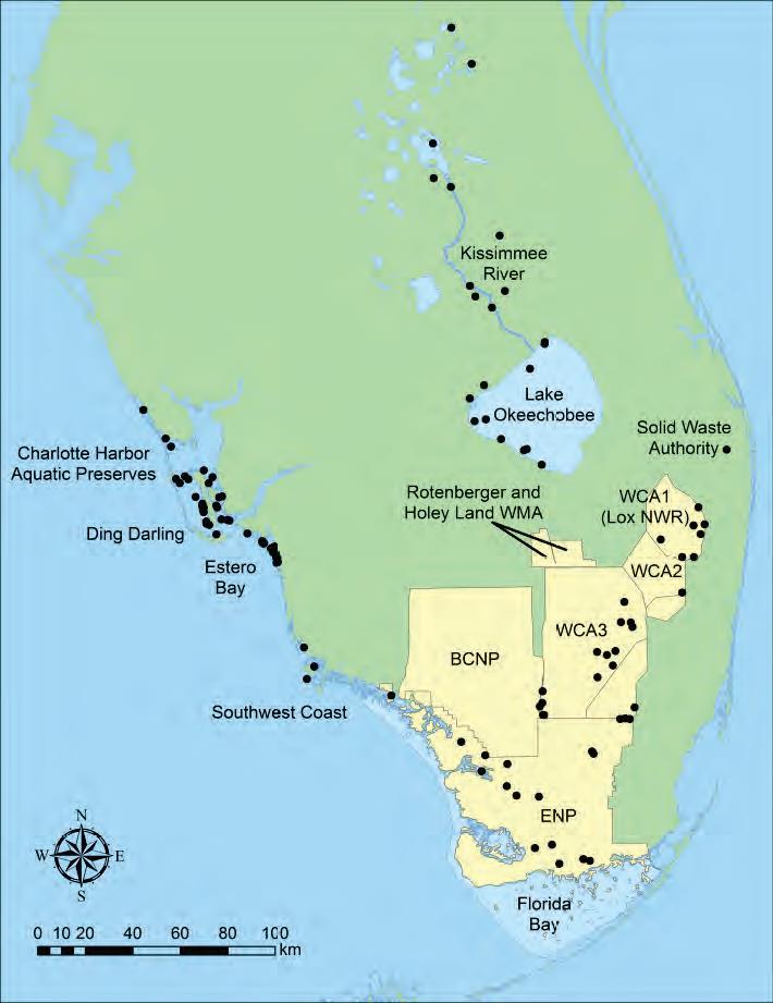 Click to enlarge Image