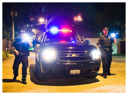 Private Security Forces