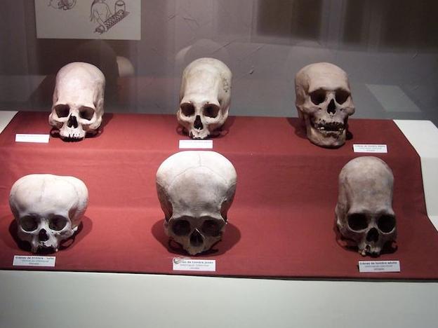 Click to enlarge paracas skulls