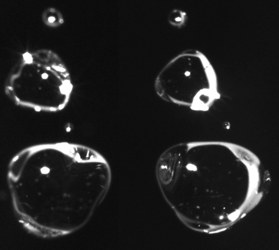 Click to enlarge water blobs