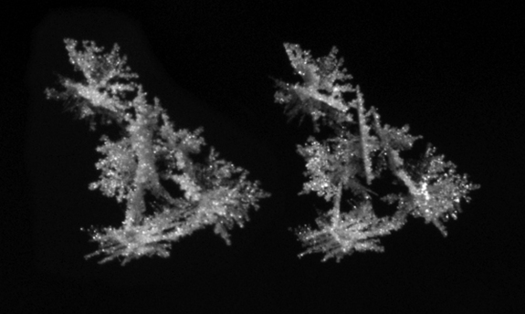 2 flakes