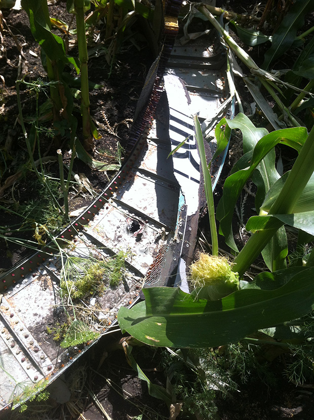 MH17
