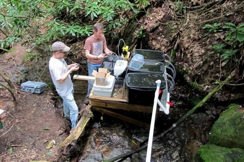 Click to enlarge stream nutrients