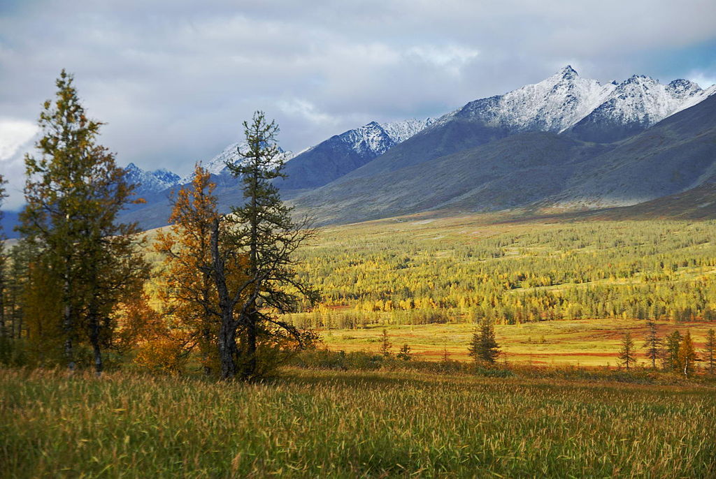 Yugyd Va National Park