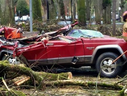 Click to enlarge tree falls car portland oregon