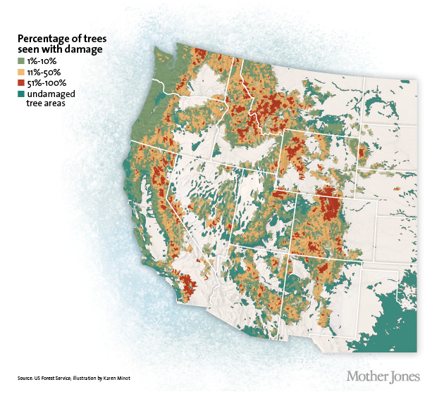 map tree damage