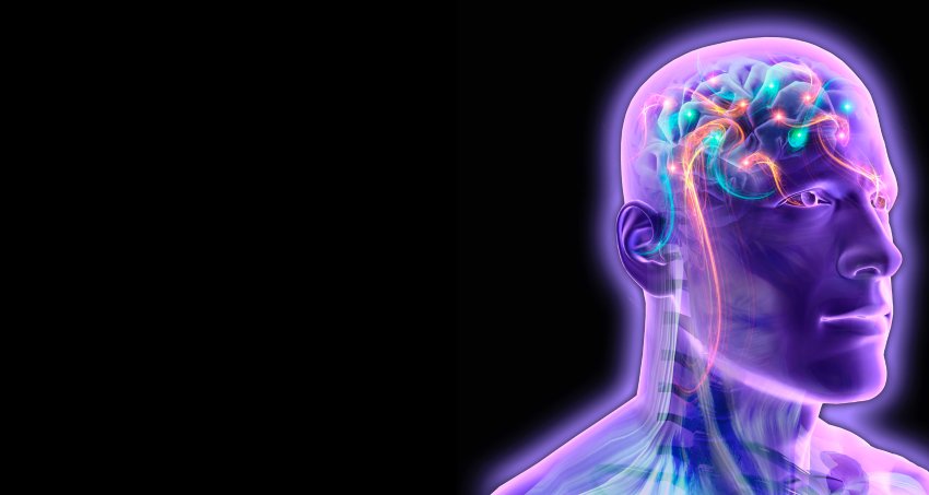 vagus nerve
