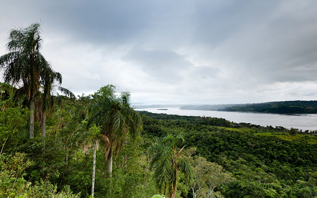 Click to enlarge Rio Parana