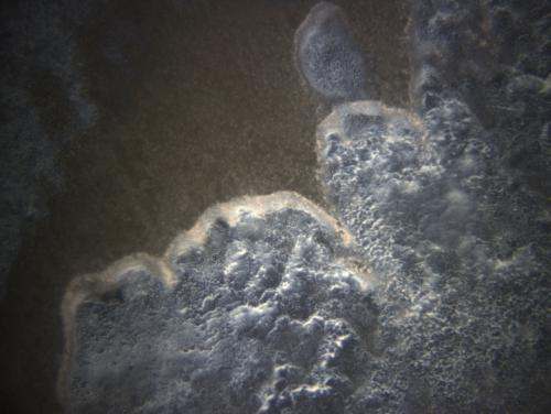 Image of the sea floor