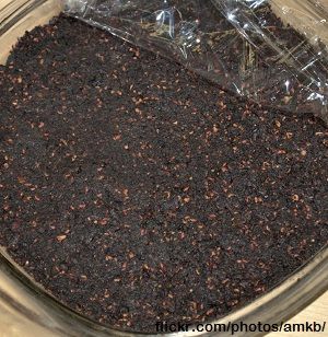 pemmican