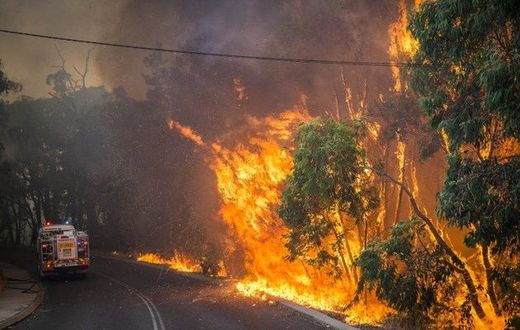 wild fire north korea