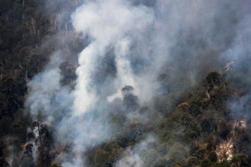 wildfire chile