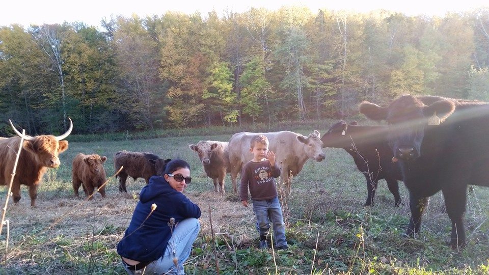 Farm Raid_2