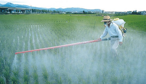 spraying crops
