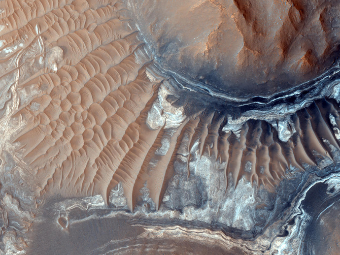 Click to enlarge Image