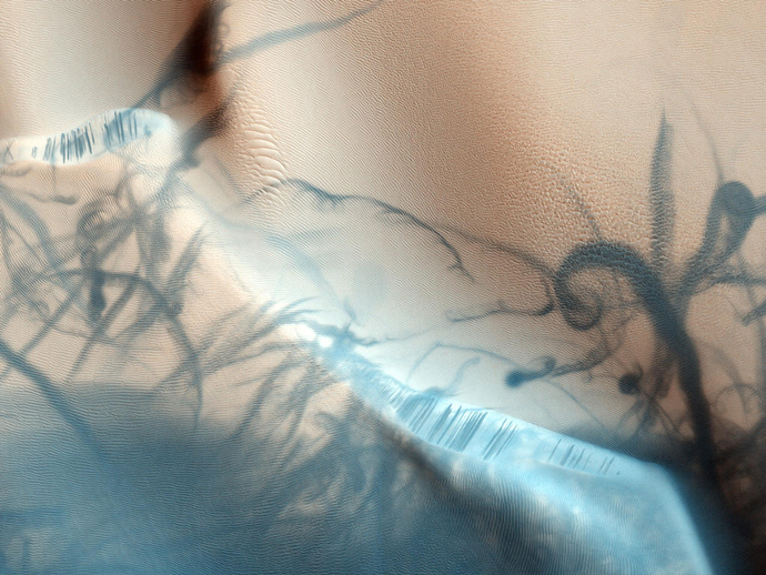 Click to enlarge Image