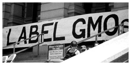 GMO Labeling