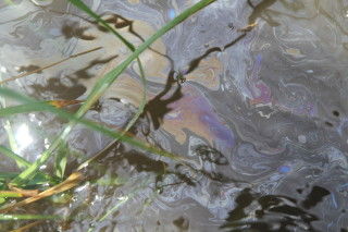 bp oil_water
