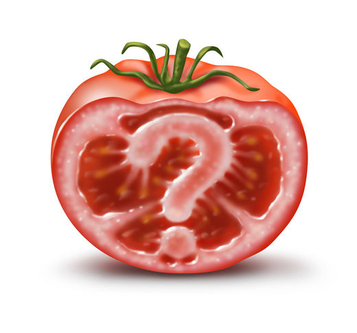 gmo tomato