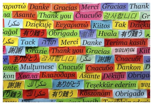Language