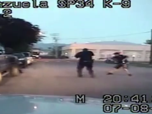 idaho police shooting