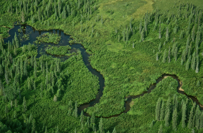 Click to enlarge chuitna river