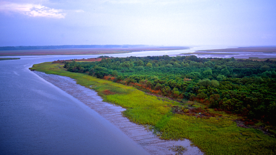 Click to enlarge edisto river