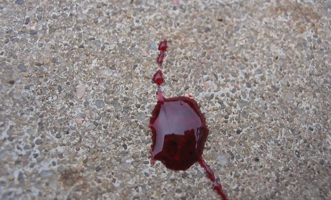 blood