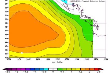 Click to enlarge pacific blob graph